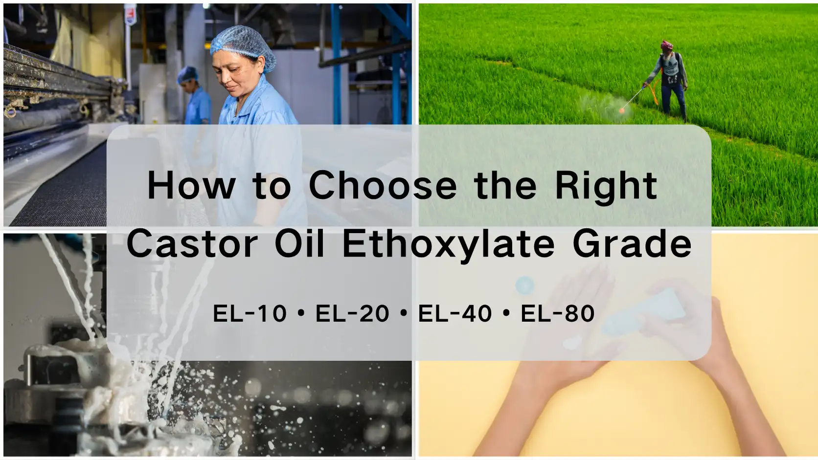 Từ EL-10 đến EL-80: Quá trình Ethoxyl hóa ảnh hưởng như thế nào đến việc lựa chọn loại Ethoxylate của dầu thầu dầu